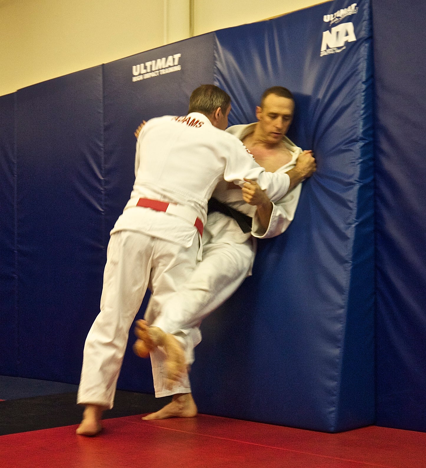 Neil Adams Nage Komi Wall Mat image 1